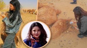 خاتون نے صحرا میں پیاس سے دم توڑتے اونٹ کی زندگی بچالی
