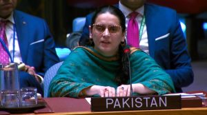 بھارت سے ریاستی دہشتگردی بند کرے اور بامعنی مذاکرات کا آغاز کرے: پاکستان