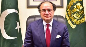 جن علاقوں میں بجلی کا بل نہیں بھرا جاتا وہاں لوڈشیڈنگ ہوتی رہے گی: وزیر خزانہ