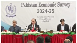 صحافیوں نے اقتصادی سروے میں پیش اعداد و شمار کو چیلنج کردیا