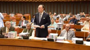 سینیٹ میں بھی بجٹ پیش، سفارشات کیلئے قائمہ کمیٹی کے سپرد