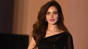 حمیرا اصغر کا آخری آڈیو میسج سامنے آگیا، یہ میسج کسے بھیجا گیا تھا؟