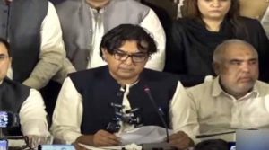 تحریک تحفظ آئین پاکستان کی اے پی سی نے 26 ویں ترمیم کے خاتمے کا مطالبہ کردیا