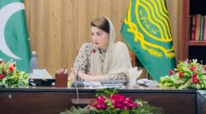 مریم نواز نے سیلاب متاثرین کی بحالی کیلئے اقدامات شروع کردیے، جامع پیکج طلب