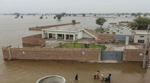 ڈی جی پی ڈی ایم اے