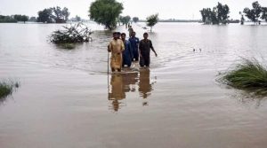 سیلاب سے نقصان کا تخمینہ لگانے کیلئے کمیٹی بنانے کا فیصلہ