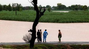 سیلاب سے 4.3 فیصد زرعی رقبہ متاثر،13 لاکھ ایکڑ زمین زیرِ آب آگئی