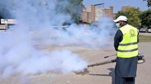 پنڈی میں انسدادڈینگی مہم میں کرپشن اور جعلی اعداد و شمار جاری کرنے کا انکشاف