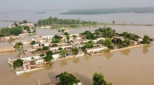 ڈی جی پی ڈی ایم اے