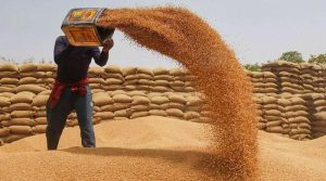 محکمہ خوراک کے پاس ذخیرہ ختم، بلوچستان میں گندم کا بحران