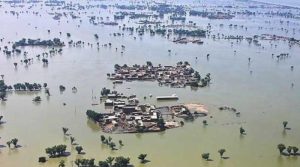 کچے میں سیلابی صورتحال کے باعث ڈاکو ٹھکانے چھوڑنے پر مجبور، پولیس نے کنٹرول سنبھال لیا