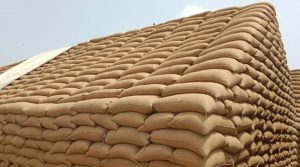 پنجاب بھر کے 200 سے زائد گوداموں سے ذخیرہ کی گئی گندم قبضے میں لے لی گئی