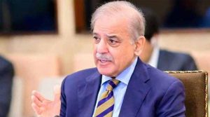 مارکو روبیو نے فیلڈ مارشل کو بتایا کہ بھارت جنگ بندی چاہتا ہے: وزیراعظم