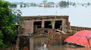 پنجاب میں سیلاب سے متاثرہ 81 ہزار سے زائد افراد کی تفصیلات جمع کر لی گئیں