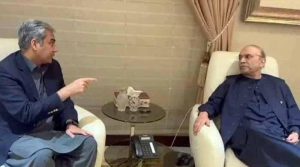 سندھ اور پنجاب حکومت میں تناؤ پر صدر کا اظہار تشویش، محسن نقوی کو کردار ادا کرنے کی ہدایت کردی