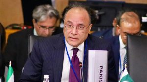 پاکستان کی امریکی کمپنیوں کو تیل، معدنیات، زراعت اور آئی ٹی سیکٹر میں سرمایہ کاری کی دعوت