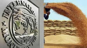 آئی ایم ایف کا پاکستان کی گندم پالیسی پر اعتراض، کم از کم امدادی قیمت کے تعین پر تحفظات