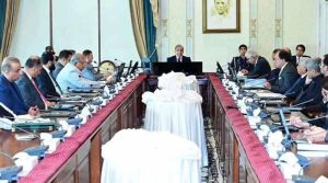 وفاقی کابینہ نے ٹی ایل پی پر پابندی کی منظوری دے دی