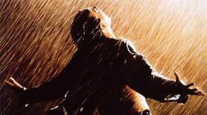 وہ فلاپ فلم جو 30 سال سے زائد عرصے بعد بھی مقبولیت کے ریکارڈ بنا رہی ہے