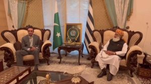 بلاول اپوزیشن لیڈر تقرری میں فضل الرحمان کیساتھ اتحاد کےخواہاں، ملاقات میں مشاورت بھی کی