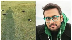بلال مقصود نے سوشل میڈیا پر کراچی کے پارک میں موجود مردہ کوؤں کی ویڈیو شیئر کردی، یہ ماجرا کیا ہے؟