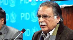 ججوں کا کام ٹکر بنوانا، کسی کو رسوا کرنا یا ڈانٹا نہیں بلکہ انصاف دینا ہے، پرویز رشید