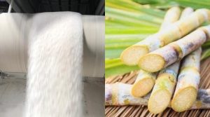 حکومتی وارننگ کام کرگئی، 27 شوگر ملوں نے کرشنگ شروع کردی