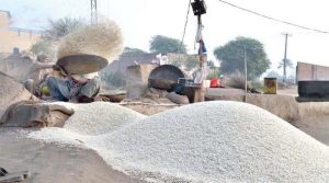 پاکستان نے بنگلادیش کو ایک لاکھ ٹن چاول برآمد کرنےکیلئے تیاریاں شروع کر دیں