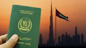یو اے ای پاکستانیوں کو ویزے نہیں دے رہا، حکام وزارت داخلہ کی سینیٹ کمیٹی کو بریفنگ
