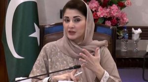 شہری پراپرٹی پر قبضے سےمتعلق ڈی سی آفس میں درخواست دیں،دنوں میں فیصلہ ہوگا: مریم نواز