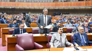 پارلیمنٹ کا مشترکہ اجلاس، اقلیتوں کے حقوق سے متعلق بل منظور