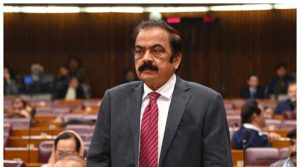 پی ٹی آئی جن سے بات کرنے کو تیار ہیں وہ ان سے بات نہیں کرنا چاہتے: رانا ثنااللہ