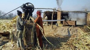 کئی شوگر ملز میں گنے کی کرشنگ شروع نہیں کی جاسکی، آبادگار سراپا احتجاج