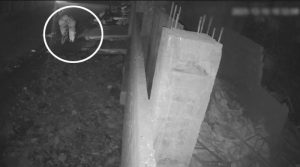 کورنگی میں بزرگ شہری حفاظتی دیوار نہ ہونےکے باعث نالے میں گرکر جاں بحق