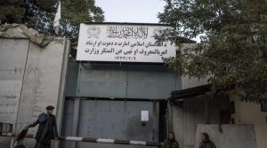 افغان طالبان نے داڑھی منڈوانے پر ہرات میں ایک شخص کو حراست میں لے لیا