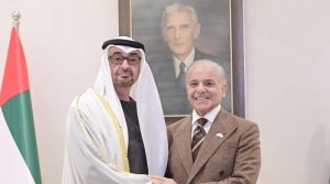 وزیراعظم سے اماراتی صدر کی ملاقات، دونوں ممالک کے درمیان تعاون بڑھانے پر تبادلہ خیال