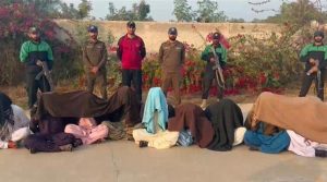 کچے میں ٹارگٹڈ آپریشن، سیکھانی اور کوش گینگ کے 10 ڈاکوؤں نے ہتھیار ڈال دیے