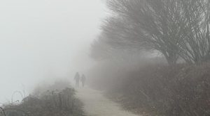 سال کا سب سے اداس کن دن قرار دیا جانے والا بلیو منڈے کیا ہے؟