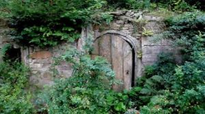 اس تصویر میں چھپے شخص کو تلاش کرسکتے ہیں؟