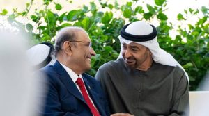 صدر مملکت کی متحدہ عرب امارات کے صدر شیخ محمد بن زاید النہیان سے ملاقات