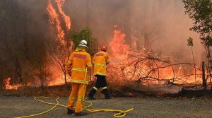 آسٹریلیا میں گرمی کی شدید لہر جاری، جنگلات میں آگ کا خطرہ