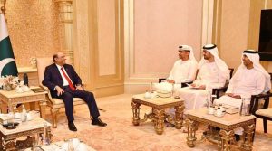 صدر زرداری سے ابوظبی پورٹس گروپ کی ملاقات، تجارتی روابط مضبوط بنانے پر اتفاق