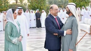 صدر زرداری کی اماراتی نائب صدر سے ملاقات، تجارت، سرمایہ کاری اور معاشی تعاون بڑھانے پر بات چیت