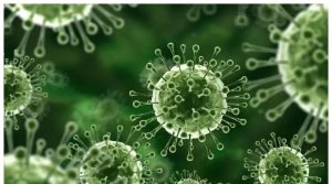 نیپاہ وائرس کیسے پھیلتا ہے اور اسکی علامات کیا ہیں؟ محکمہ صحت کی ایڈوائزری جاری