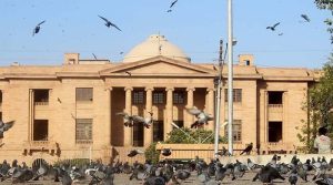 افغان شہری کو پاکستانی خاندان میں شامل کرنے پر سندھ ہائیکورٹ نادرا پر برہم