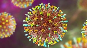 نِپاہ وائرس کا خدشہ، پاکستان میں مختلف اداروں کو الرٹ جاری