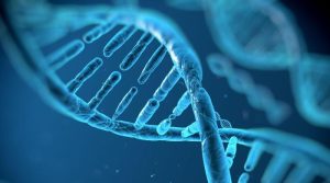 سائنسدانوں نے لوگوں کی لمبی عمر کے پیچھے چھپا راز جان لیا