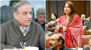 وفاقی وزیر علیم خان نے سینیٹ اجلاس میں پی پی کی سینیٹر پلوشہ خان سے معذرت کرلی