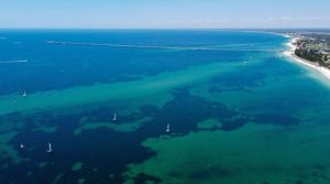 13 سالہ بچے نے پبھرے سمندر میں 4 گھنٹے تیر کر اپنے خاندان کی زندگی بچالی