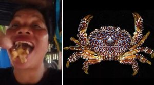 فلپائنی فوڈ انفلوئنسر کو زہریلا کیکڑا کھانا مہنگا پڑگیا، جان سے ہاتھ دھو بیٹھی